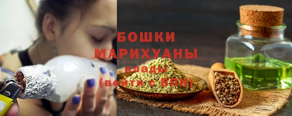 стаф Волосово