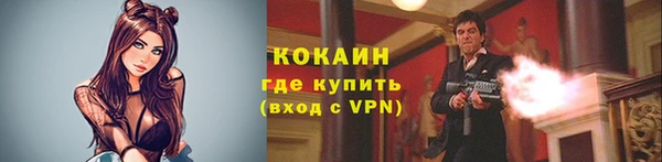 стаф Волосово