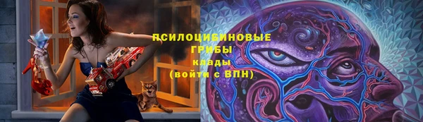 стаф Волосово