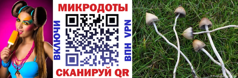 ОМГ ОМГ tor  Чишмы  Галлюциногенные грибы Cubensis 